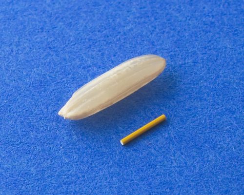 Ein Reiskorn und daneben viel kleiner ein Iluvien-Implantat.